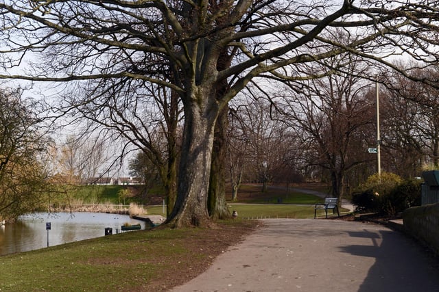 Sandall Park, Doncaster. Picture: NDFP-24-03-20 Parks Sandall 5-NMSY