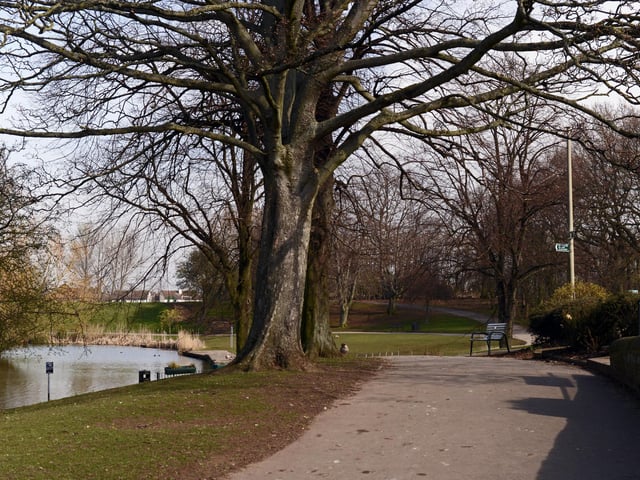 Sandall Park, Doncaster. Picture: NDFP-24-03-20 Parks Sandall 5-NMSY