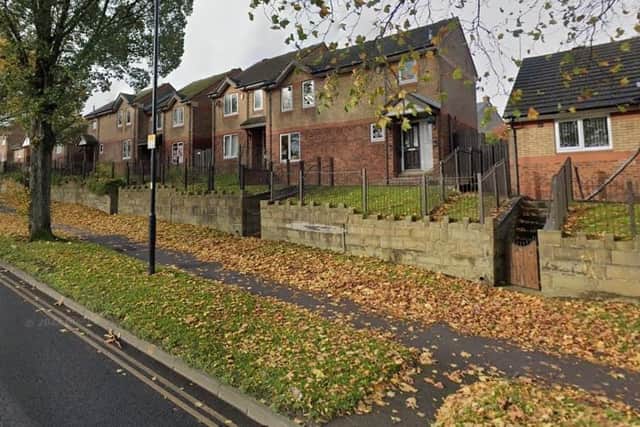 Sheffield City Council is set to approve plans to allow residents to plant wildflowers or ask for trees on grass verges