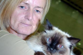 Yorkshire County Cat Club in 2006. Participant Liz Robinson from Edenthorpe with her cat daisy.