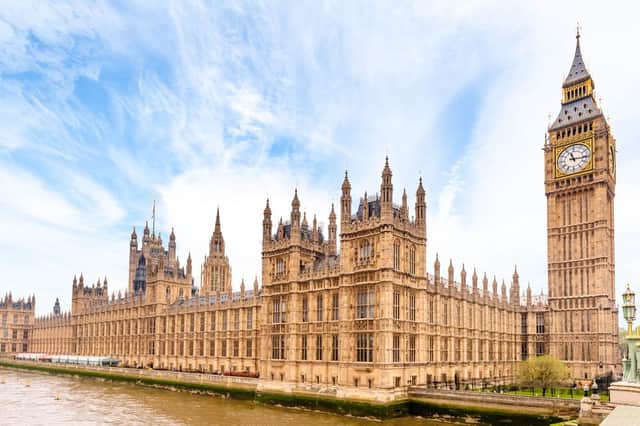 These were the smallest expense claims made by MPs in 2020 (Photo: Shutterstock)