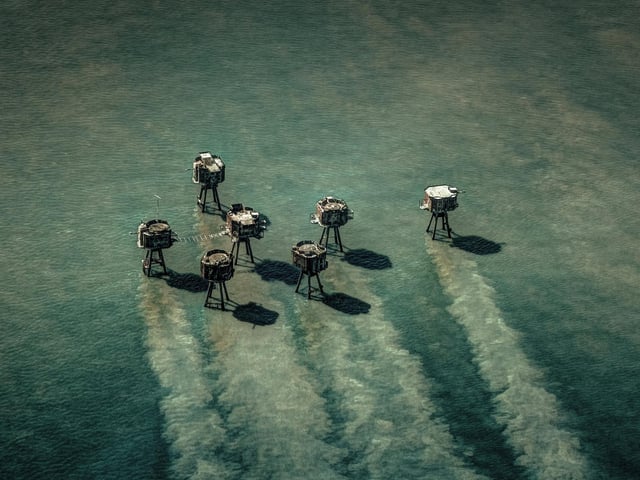 Shortlisted - Michael Marsh - The Maunsell Forts, Thames Estuary, Kent.  
Skydivers over the Great Pyramids of Giza and a Welsh farmhouse are just some of the astonishing pictures from the 2020 Historic Photographer of the Year Awards. The awards called on photographers to capture â€œhistory all around usâ€, in the form of historical places and cultural sites around the world. Astonishing images of civilisationâ€™s most iconic landmarks, including the Taj Mahal, Pompeii and the Palace of Versailles are just some of the historical sites featured. But the Overall Winner out of thousands of entries in the worldwide competition was awarded to Michael Marsh, for his sombre picture of Brighton Palace Pier, captioned  â€œstanding in the full force of weather and timeâ€.
