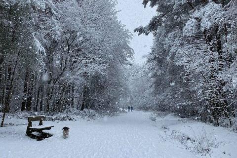 Snowy scenes in Bordon. Picture: Chloe Sibley