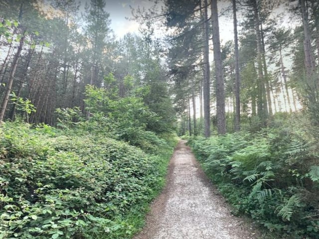 There are many stunning and mysterious trails to enjoy around Sherwood Forest.