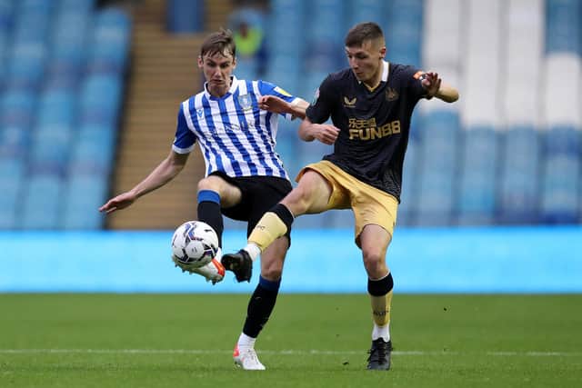 Sheffield Wednesday youngster Ciaran Brennan is of interest to near-neighbours Chesterfield.
