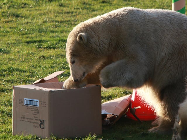 Ooh what's in here?