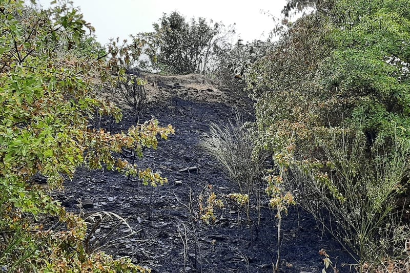 The frequent fires on the slopes of Sheffield's old Ski Village have become a bit of a running joke in the city. One person suggested a quest for video game players could be: "If would be adventurers are bored, assistance would be welcome extinguishing a fire at the Ski Village."