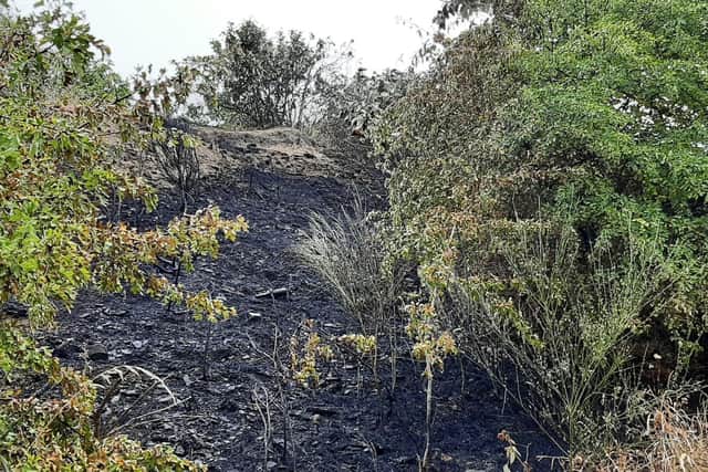 Another arson attack was to blame for a fire at the former Ski Village site in Sheffield earlier this week
