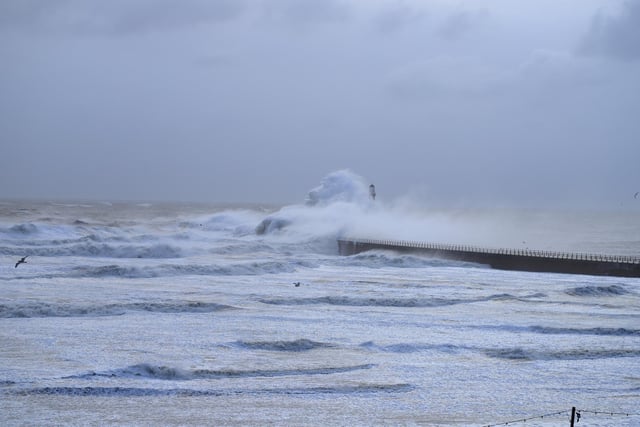 Waves create the shape of a lion as they crash off Roker Pier. Can you see it?