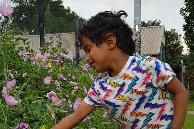 Sufiyan Obaid loves the wildflowers.