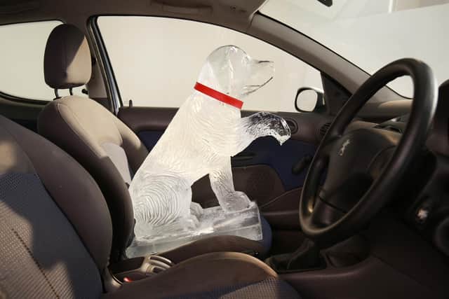 LONDON, ENGLAND - APRIL 09:  An ice sculpture is placed in a vehicle to warn of the dangers of leaving a dog in a hot car on April 9, 2014 in London, England. Today Dogs Trust unveils its summer campaign to highlight the true cost of only '20 minutes', the time it can take for a dog to die in a hot car.  (Photo by Peter Macdiarmid/Getty Images for Dogs Trust)