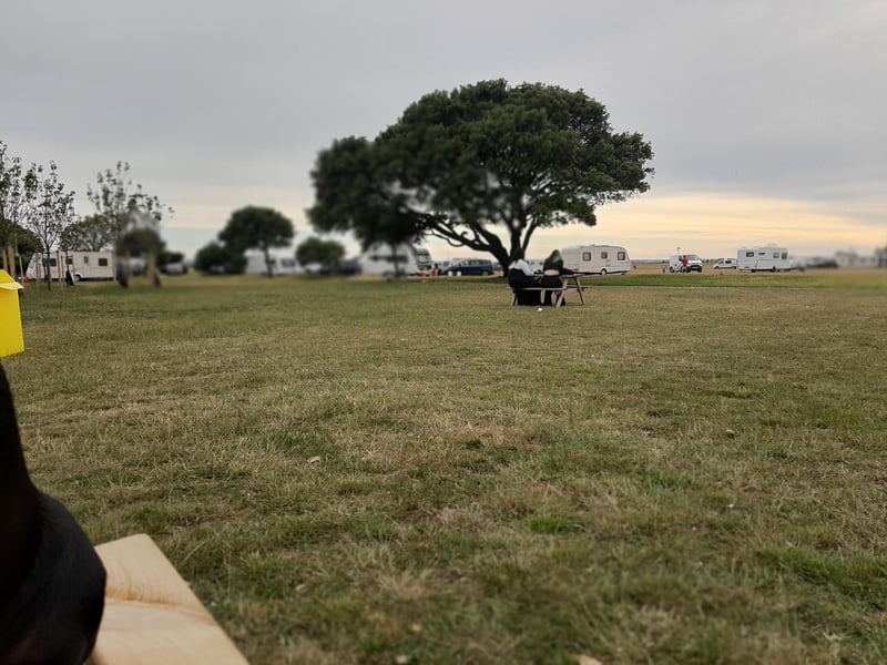Travellers set up on Southsea Common on June 17, 2020