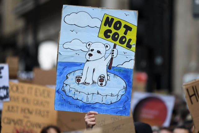 Words weren't the only way protesters got their message across - one individual drew a sad cartoon polar bear, sitting atop a melting ice cap on her placard. The polar bear is holding a sign of its own - which says 'Not Cool'.
