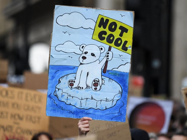 Words weren't the only way protesters got their message across - one individual drew a sad cartoon polar bear, sitting atop a melting ice cap on her placard. The polar bear is holding a sign of its own - which says 'Not Cool'.