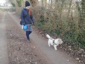 George out enjoying a walk in the Portsmouth area. Picture: Charley Davis