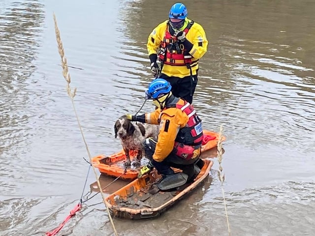 The coastguard said they were happy that no one tried to rescue Bob themselves as it would have been dangerous.