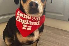 Emily Bower  said - Teddy was routing for England!