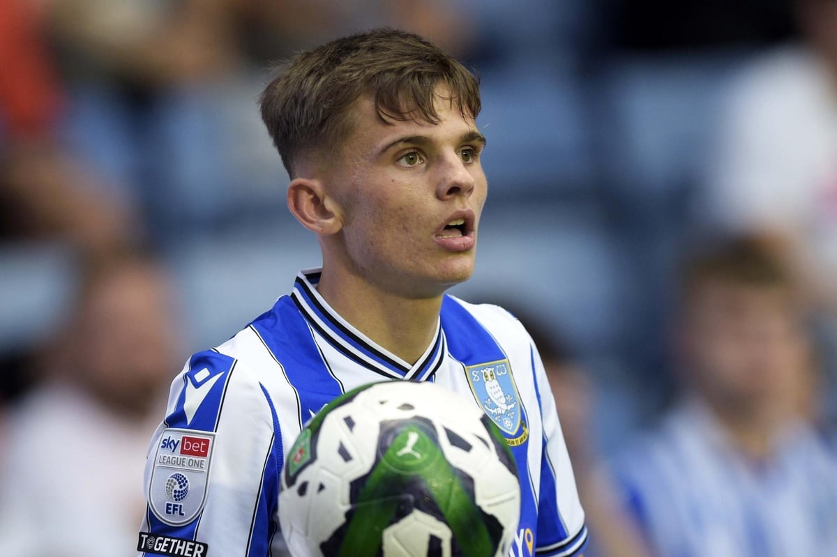 Sheffield Wednesday confirm exits as six youngsters depart Hillsborough this summer