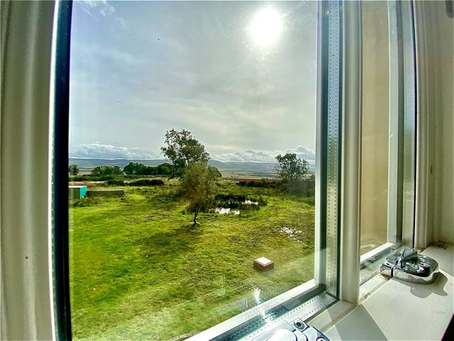 View from bedroom window.