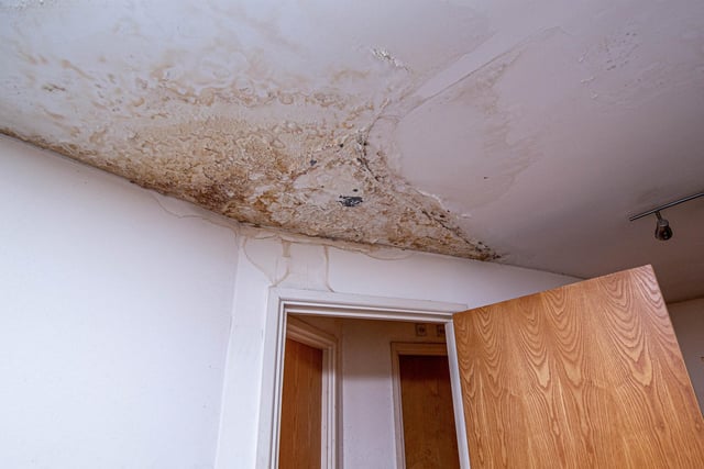 Excessive mould in one of the apartment bedrooms. Picture: Habibur Rahman