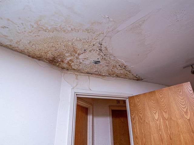 Excessive mould in one of the apartment bedrooms. Picture: Habibur Rahman