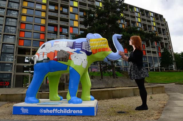 The first of Herd of Elephants , a scuplture trail across the city, the latest fundraising initiative by the Sheffield Childrens Hospital Charity begin to appear in situ.