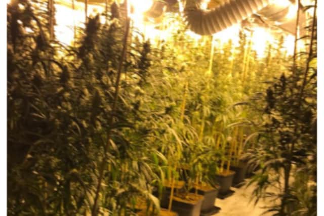 Landlords have been warned to be on their guard against criminal gangs setting up cannabis farms in their homes