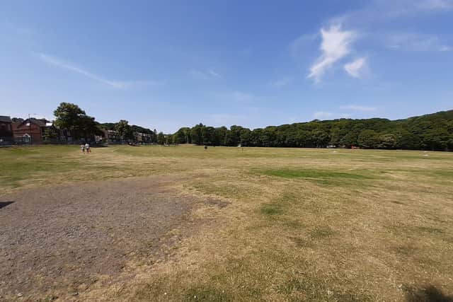 Endcliffe Park, Sheffield, on Monday, July 18, when the record for the city's highest ever temperature was broken