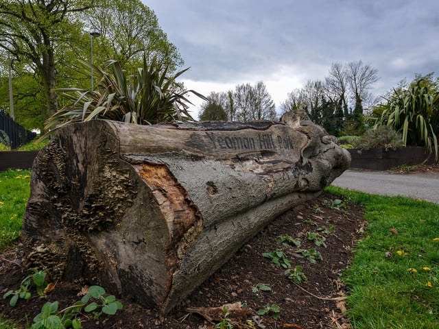 In 2014 the park celebrated its 100th birthday and has a war memorial and an art deco bandstand.