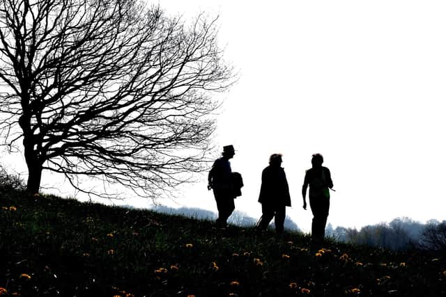 Step Out Sheffield Health Walk in Totley