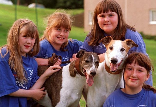 Laura Hancock, Helen Mitchell, Leander Poole and Elizabeth Farnell of Ironside Place, Sheffield, who have raised over £100 for the retired greyhounds fund, on September 4, 1996