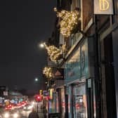 Broomhill shining bright with new Christmas trees