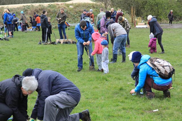 Kids Plant Trees planting event at Bole Hills.
