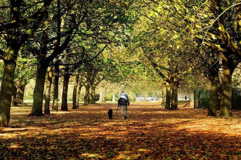 Leeds is home to many golf courses. Gotts Park covers 30 hectares of land and there is an 18 hole parkland golf course run by the Gotts Park Golf CIC club, that is a perfect spot to visit with friends. 