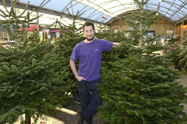 Bawtry Forest Christmas Trees, which can be found on the Great North Road near Doncaster, is the largest supplier of locally grown, premium Christmas trees in Nottinghamshire and Yorkshire. Species include Norway spruce, lodgepole pine and Nordmann fir, and they come in different shapes and sizes, up to 25 feet tall.
