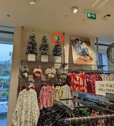 RSPCA officers in Newcastle-upon-Tyne were called to save a little finch who had flown into a Next store and took up residency in the Christmas trees on display.