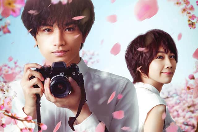 Love like the falling petals streaming on NETFLIX