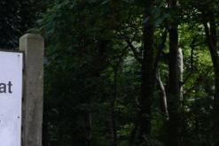 Clue: A very popular walking spot.