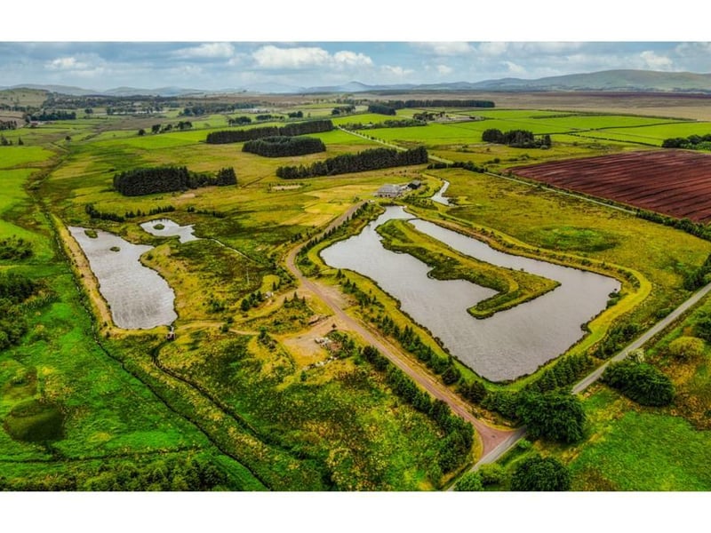 Aerial view of estate.