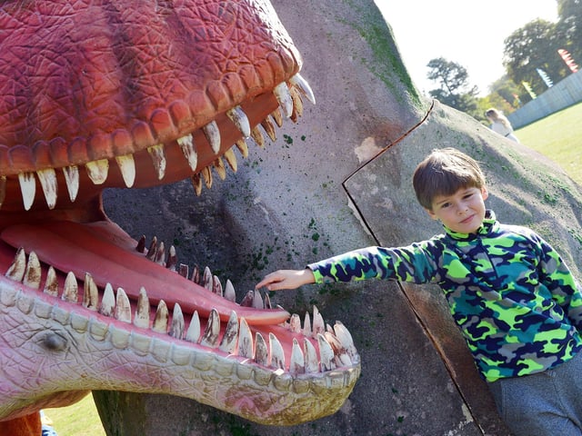 Lewis Goring poses with one of the exhibits