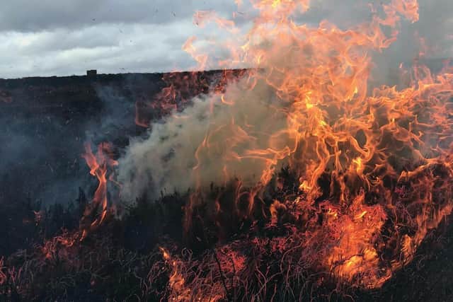 Moorland burning. Sheffield Council has backed calls for a complete ban on the practice.