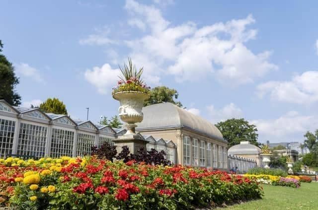 Photo shows Sheffield Botanical Gardens. (Picture: Scott Merrylees)