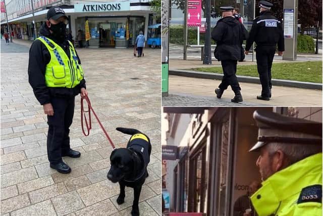 A police drugs dog was used in an operation in Sheffield city centre