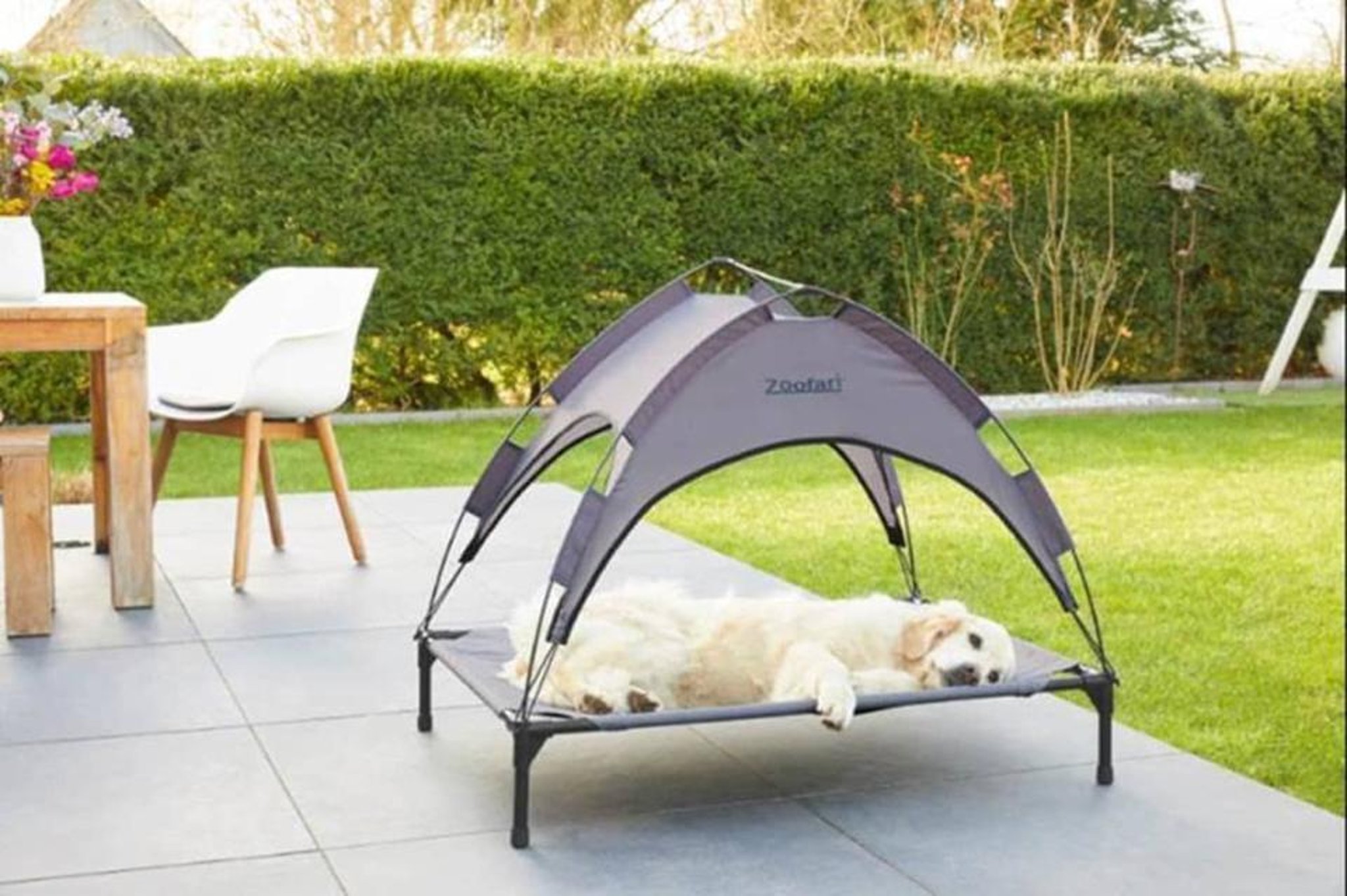 Franje Seminarie vaccinatie Lidl dog bed: everything about the Zoofari outdoor dog bed with sun shade -  and other items to keep your pet cool this summer | The Star