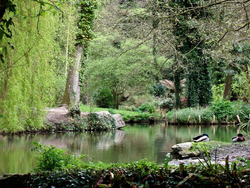 Holly Hill Woodland Park is an absolutely treasure with the wooded paths around the lakes snaking around the site and out to the Rover Hamble. There is also a playpark nearby outside the leisure centre for those with families.  
Picture: Graham May