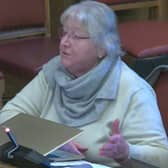 Dr Trish Edney from Healthwatch speaking at a Sheffield City Council health scrutiny sub-committee