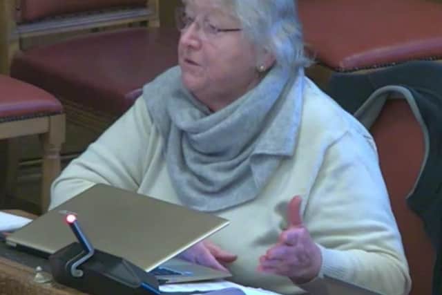 Dr Trish Edney from Healthwatch speaking at a Sheffield City Council health scrutiny sub-committee