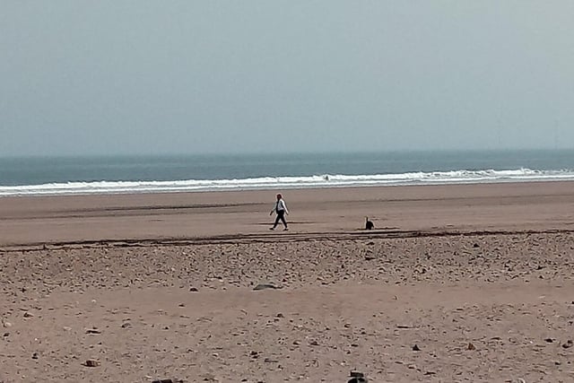A dog walker on the beach at Seaton Carew.