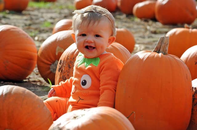 There are plenty of things happening in and around Mansfield from October 24 to November 1.