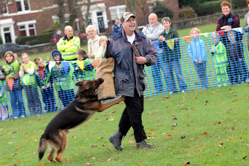 Fun at the dog display in Jarrow Park in 2009.